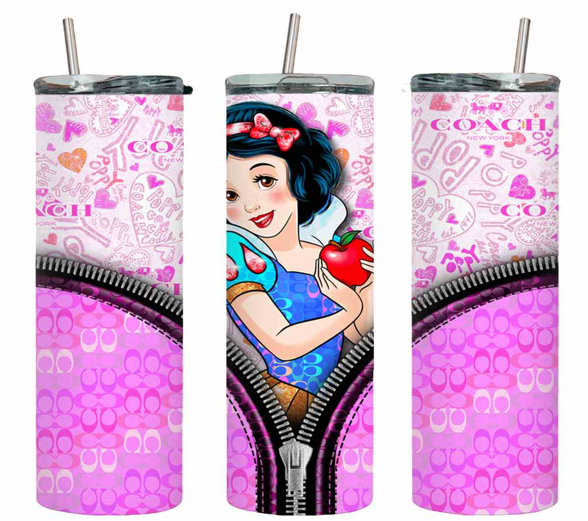 Princess Zipped-11167